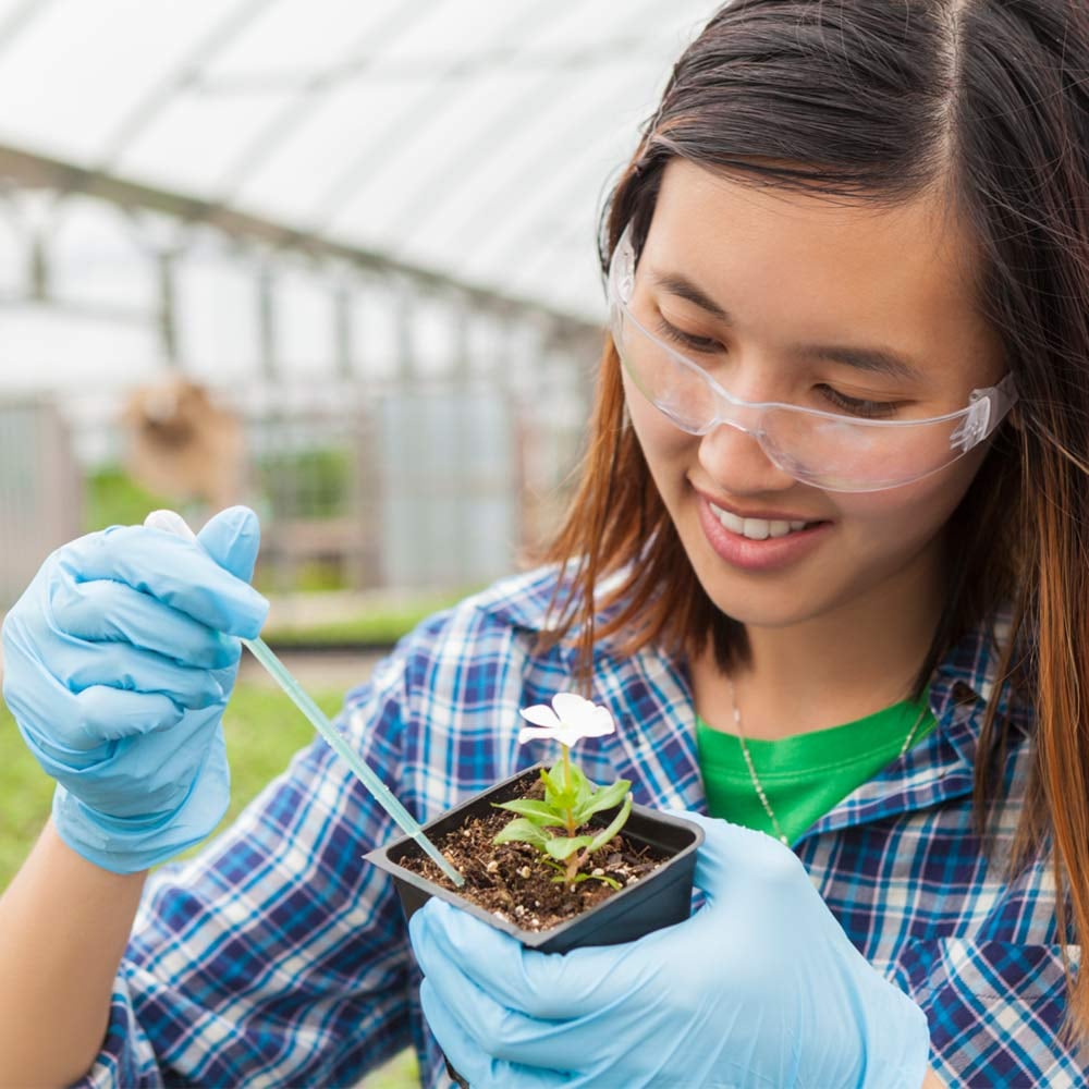 AnnSinclair-BlockImages