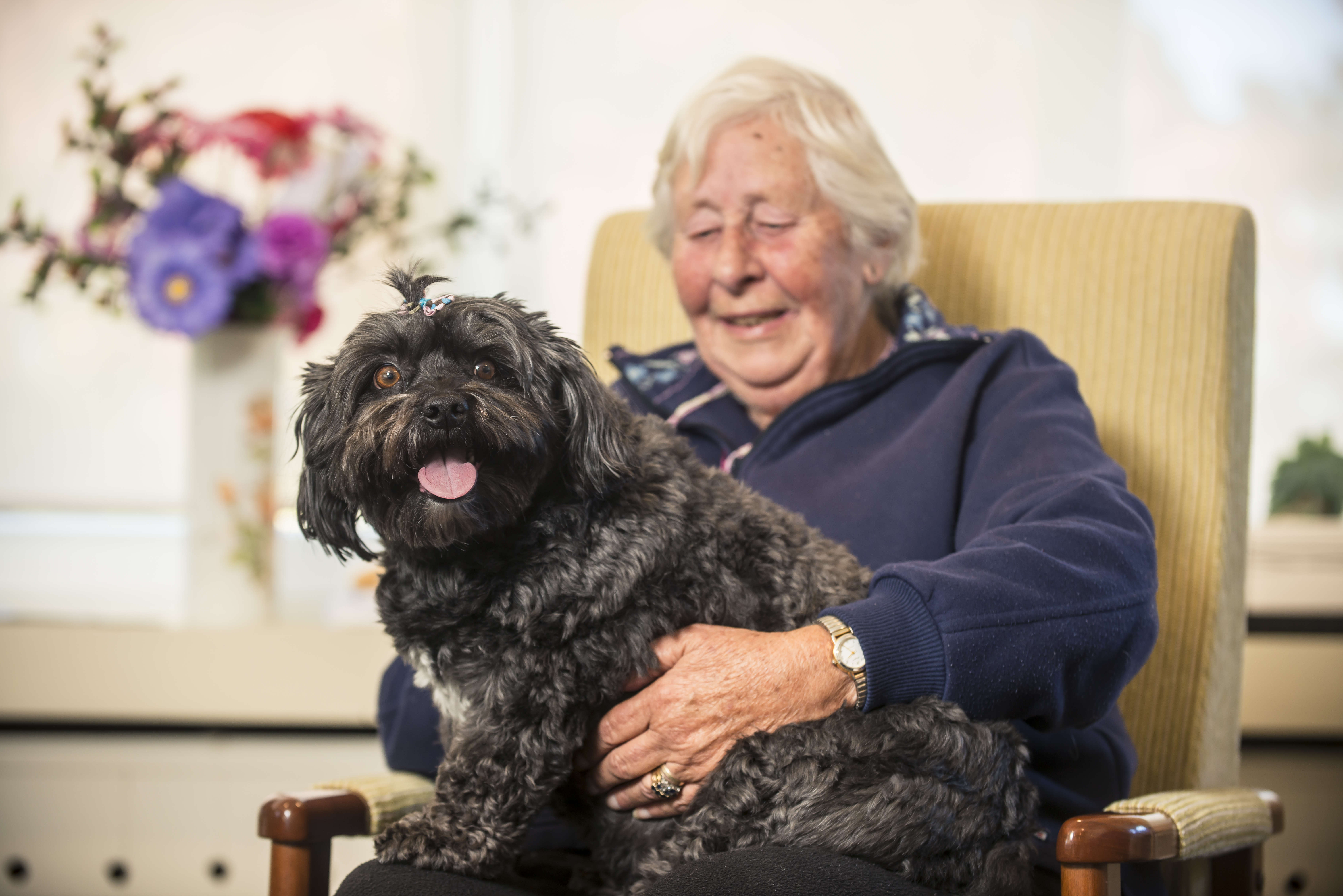 <span id="hs_cos_wrapper_name" class="hs_cos_wrapper hs_cos_wrapper_meta_field hs_cos_wrapper_type_text" style="" data-hs-cos-general-type="meta_field" data-hs-cos-type="text" >Brockies special blog post</span>