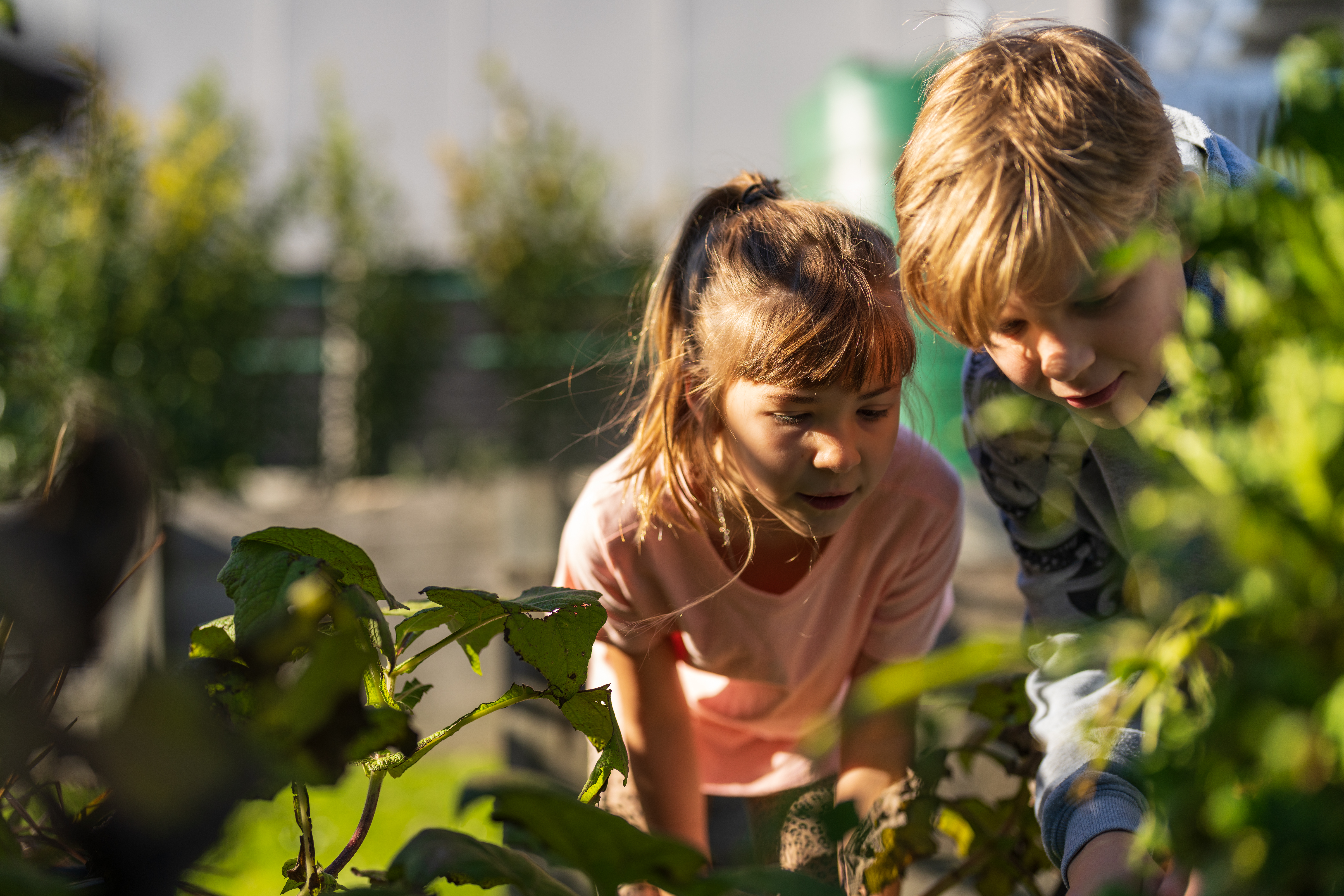 <span id="hs_cos_wrapper_name" class="hs_cos_wrapper hs_cos_wrapper_meta_field hs_cos_wrapper_type_text" style="" data-hs-cos-general-type="meta_field" data-hs-cos-type="text" >PSC Annual Report 2018-2019</span>